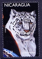 Snow Leopard, Wild Animals, Nicaragua 1999 MNH ( - Felini