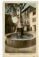 Carte Postale Ancienne Eyguières - Fontaine Centenaire - Eyguieres