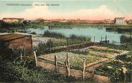 Delcampe - Dpts Div.-ref-AK506- Somme - Peronne - Une Vue Des Marais - Jardins - Maraichage - Agriculture -carte Colorisée Bon Etat - Peronne