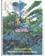Ref. 227777 * MNH * - EQUATORIAL GUINEA. 2009. MEDICINAL PLANTS . PLANTAS MEDICINALES - Äquatorial-Guinea