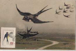 BIRDS, BARN SWALLOW, CM, MAXICARD, CARTES MAXIMUM, 1993, ROMANIA - Hirondelles