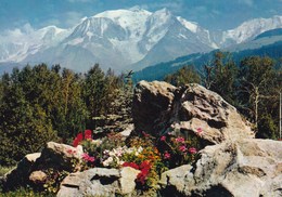 LE MONT BLANC (dil427) - Chamonix-Mont-Blanc