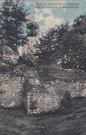 AK Ruine U. Aussichtsturm Burgberg Bei Lichtenberg - Braunschweig - Ca. 1910/20 (42619) - Salzgitter