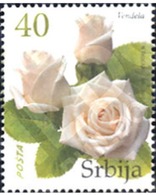 Ref. 238494 * MNH * - SERBIA. 2007. ROSES . ROSAS - Rose