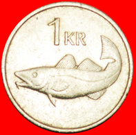 + GREAT BRITAIN FISH (1981-1987): ICELAND ★ 1 KRONE 1981! LOW START ★ NO RESERVE! - Island