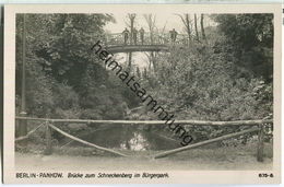 Berlin-Pankow - Brücke Zum Schneckenberg Im Bürgerpark - Verlag Ludwig Walter Berlin - Foto-Ansichtskarte 30er Jahre - Pankow