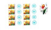 Bloc De 8 Timbres + Coupons 2004 Tulipes  YT 412 Neuf /  Sheet  2004 Mint  Mi 479 Zf Slov Olymp Fila - Blocks & Sheetlets