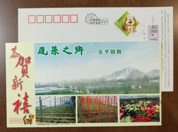 Greenhouse Fruit And Vegetable,CN 06 Leping Zhenqiao Hometown Of Vegetable Advert Pre-stamped Card,specimen Overprinted - Groenten