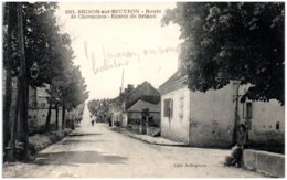 58 BRINON-sur-BEUVRON - Route De Chevannes - Entrée De Brinon - Brinon Sur Beuvron