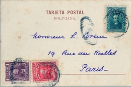 1905  BOLIVIA , TARJETA POSTAL CIRCULADA , LA PAZ - PARIS , YV. 67,68,69 - PALO BORRACHO , ÁRBOL DEL GRAN CHACO - Bolivien