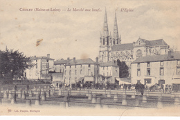 Delcampe - CPA 49 @ CHOLET - Le Marché Aux Boeufs Vers 1902  @ Librairie E. Poupin De Mortagne (n° 66) - Cholet