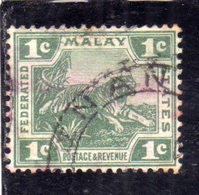 MALAY MALAYA MALAISIE MALESIA FEDERATED STATES 1906 1922 WILD FAUNA TIGER TIGRE CENT. 1c USATO USED OBLITERE' - Federation Of Malaya