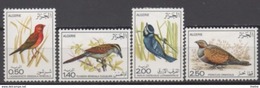 ALGERIE  Oiseaux :Lagonosticta Senegala Senegala - Tchagra Senegala Cucullata - Parus Caeruleus Ultramarinus - Pterocles - Collections, Lots & Series