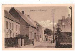 Hingene - De Dorpstraat - Bornem