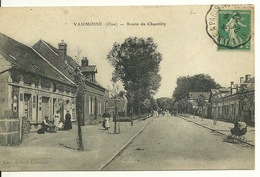 60 - VAUMOISE / ROUTE DE CHANTILLY - Vaumoise