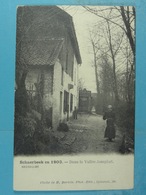 Schaerbeek En 1903 Dans La Vallée Josaphat - Schaerbeek - Schaarbeek
