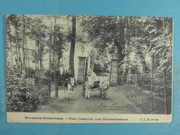 Bruxelles Schaerbeek Parc Josaphat Les Schaerbeekois - Schaerbeek - Schaarbeek