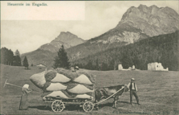 CH TARASP / Heuernte Im Engadin / - Tarasp