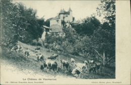 CH VAUMARCUS / Le Château / - Vaumarcus