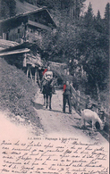 Val D'Illiez, Mulet, Chèvre Et Foulards Rouge (3089 A) - Val-d'Illiez 