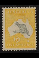1913 5s Grey And Yellow, Wmk Broad Crown, Kangaroo, SG 13, Fine And Fresh Mint. For More Images, Please Visit Http://www - Otros & Sin Clasificación