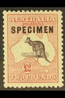 1915-27 £2 Black And Rose Kangaroo With "SPECIMEN" Overprint, SG 45s, Very Fine Mint. For More Images, Please Visit Http - Otros & Sin Clasificación