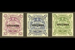 SPECIMENS 1948-56 10s, £1 & £2 High Values, Overprinted "SPECIMEN," SG 224bs/ds, Never Hinged Mint (3 Stamps). For More  - Otros & Sin Clasificación