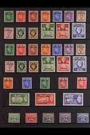 TRIPOLITANIA 1948-51 VERY FINE MINT SETS COLLECTION Presented On A Stock Page That Includes 1948-49 Set (SG T1/13), 1950 - Afrique Orientale Italienne