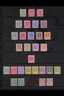 1900-1908 ATTRACTIVE FINE MINT COLLECTION On A Stock Page, ALL DIFFERENT, Includes 1900 ½d & 1d (x2, Both Shades), 1902- - Kaaiman Eilanden