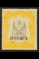 1897-00 £10 Black And Yellow Opt'd "SPECIMEN", SG 52s, Very Fine Mint. For More Images, Please Visit Http://www.sandafay - Nyassaland (1907-1953)