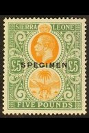 1921-27 £5 Orange And Green Opt'd "SPECIMEN", SG 148s, Never Hinged Mint. Very Scarce In This Condition. For More Images - Sierra Leone (...-1960)