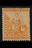 CAPE OF GOOD HOPE 1884 5s Orange, Wmk Anchor, Hope, SG 54, Very Fine Mint Og. For More Images, Please Visit Http://www.s - Non Classificati