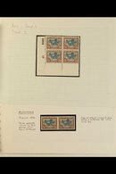 1949 2s 6d OX-WAGON ISSUE Selection Of 3 Corner Plate Blocks, Pair And Official Pair, All Fine Mint. (8 Pairs) For More  - Unclassified