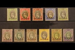 1903-04 SPECIMENS KEVII Definitives, Overprinted "SPECIMEN" Complete Set, SG 10s/20s, Fine Mint (11 Stamps). For More Im - Nigeria (...-1960)