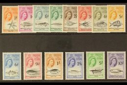 1960 Marine Life (Sterling Currency) Complete Definitive Set, SG 28/41, Never Hinged Mint. (14 Stamps) For More Images,  - Tristan Da Cunha