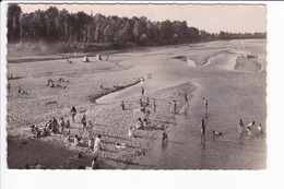 COSNE - Bords De La Loire. La Plage - Cosne Cours Sur Loire