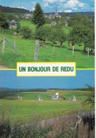 UN BONJOUR DE REDU - Libin