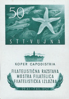 ITALY ITALIA ITALIEN ITALIE,Trieste Zona B-1952 Stamp Exhibition Capodistria,Minisheet(50x70mm)MNH-HIGH EVALUATION - Mint/hinged