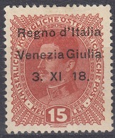 VENEZIA GIULIA, OCCUPAZIONE ITALIANA - 1918 - Unificato 6, Nuovo MH. - Venezia Giulia