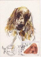 POLOGNE Carte Maximum - Cocker Spaniel - Maximumkaarten