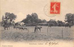 78-CHATOU- ILE DE CHATOU, LE HARAS - Chatou