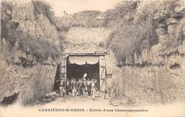 78-CARRIERES- ENTREE D'UNE CHAMPIGNONNIERE - Carrières-sur-Seine