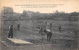 78-GRIGNON- ECOLE NATIONALE D'AGRICULTURE- LE JARDIN DES BLESSES REFORMES - Grignon