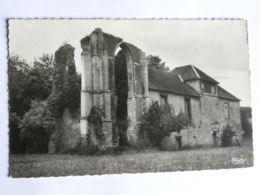 CPSM (89) Yonne - DIXMONT - Les Ruines Du Prieuré De L'enfourchure - Dixmont