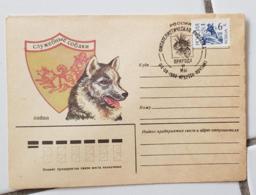 RUSSIE Theme Polaire, Chiens De Traineau. Entier Postal Illustré Oblitéré En 1993 - Hunde