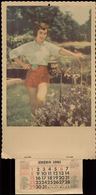 X1753 PIN UP Woman Femme Girl In Shorts At The Garden - Wall CALENDAR CALENDRIER 1961. - 42x21cm - Grand Format : 1961-70