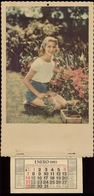 X1758 PIN UP Woman Femme Girl In Shorts At The Garden - Wall CALENDAR CALENDRIER 1962 - 42x21cm - Grand Format : 1961-70