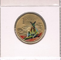 AUSTRALIA • 2008 • $1 • Rock Wallaby • Coloured Uncirculated Coin In Acid Free Coin Holder - Other & Unclassified