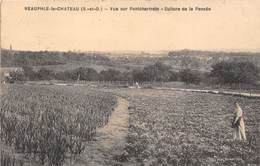 78-NEUPHLE-LE-CHATEAU- VUE SUR PONTCHARTRAIN, CULTURE DE LA PENSEE - Neauphle Le Chateau