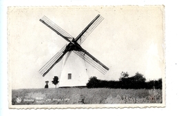 Nukerke - Molen Moulin "ten Hengst" 1834 / Massez-Mauroit (1941) - Maarkedal